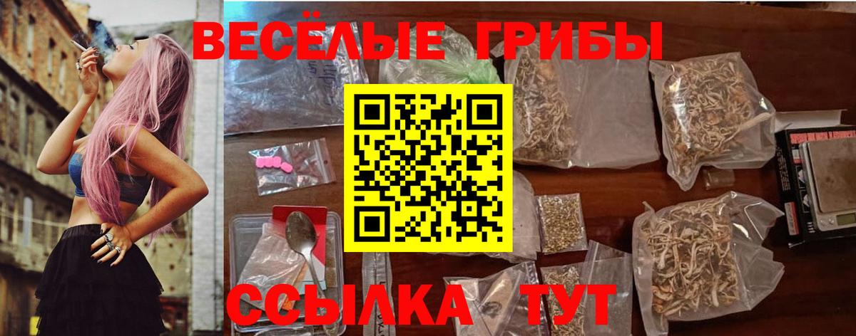 Долгопрудный  Галлюциногенные грибы Psilocybine cubensis  Вход с VPN 